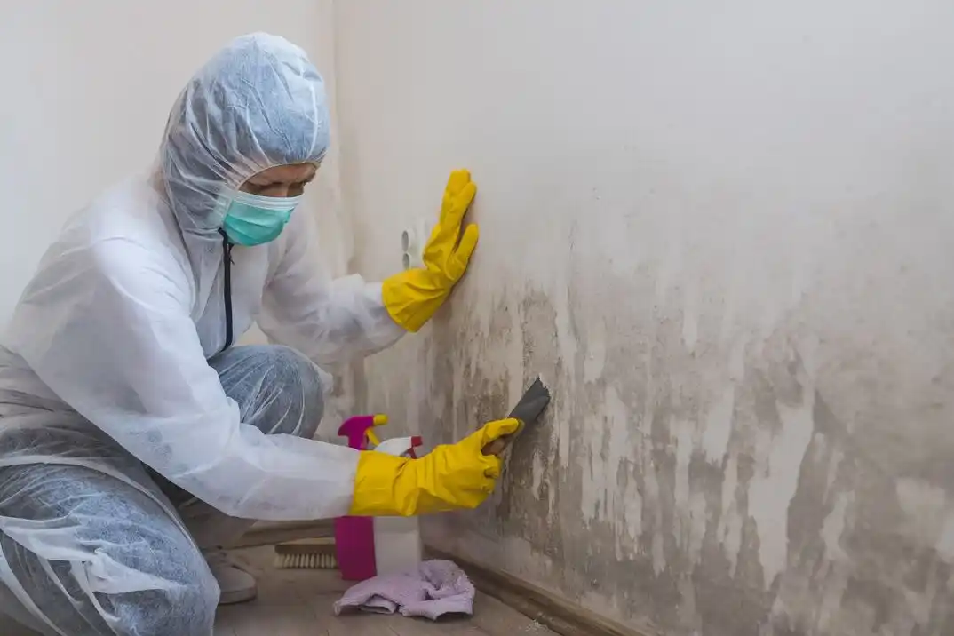 water damage restoration service Camelot Estates